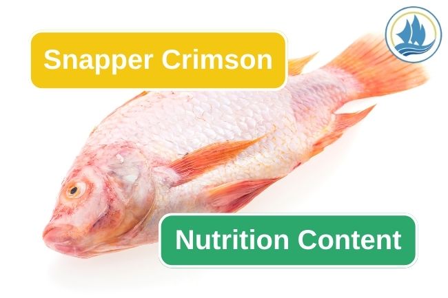 6 Essential Nutrition From Crimson Snapper